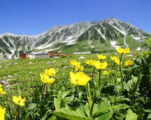 ツアー詳細 夏の立山黒部アルペンルート縦走 昭和観光株式会社